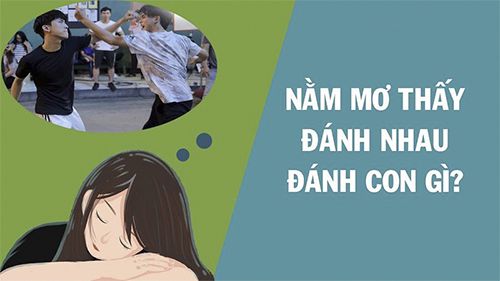 nam-mo-thay-danh-nhau-danh-con-gi