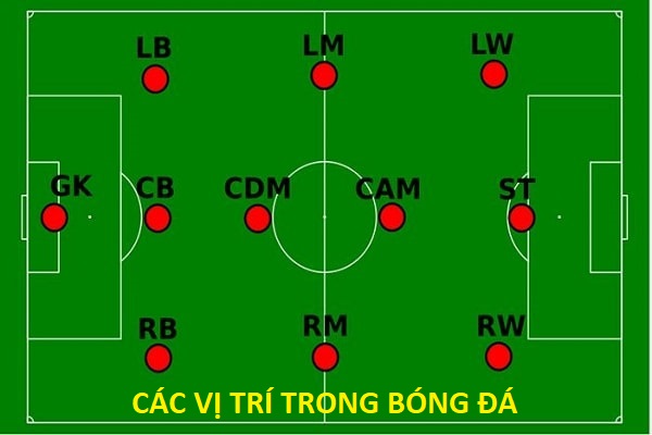 vi-tri-cau-thu-trong-bong-da